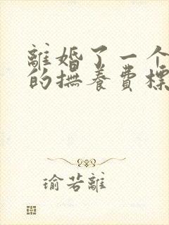 离婚了一个孩子的抚养费标准是多少钱