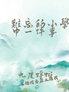 难忘的小学生活中一件事