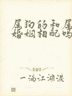 属狗的和属鸡的婚姻相配吗