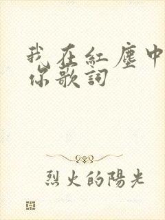 我在红尘中遇到你歌词