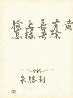 脸上长有黄褐斑怎样去除