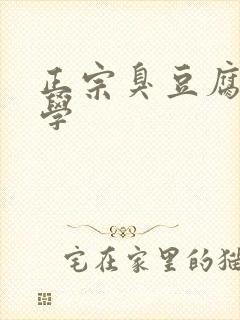 正宗臭豆腐哪里学