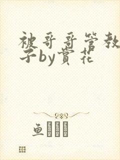 被哥哥管教的日子by赏花