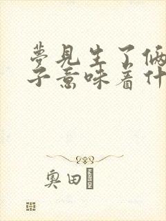 梦见生了俩男孩子意味着什么