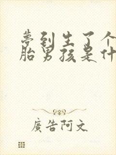 梦到生了个双胞胎男孩是什么意思