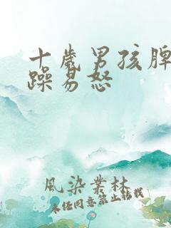 十岁男孩脾气暴躁易怒