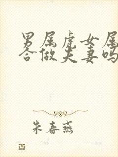 男属虎女属鸡适合做夫妻吗