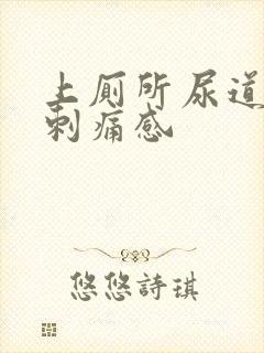 上厕所尿道口有刺痛感