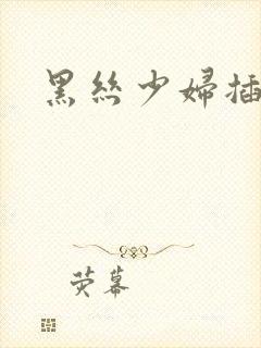 黑丝少妇插大吊