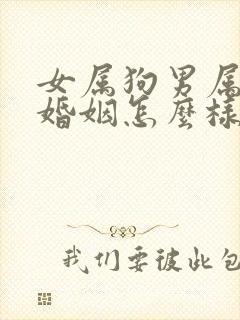 女属狗男属鼠的婚姻怎么样