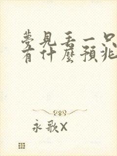 梦见丢一只鞋子有什么预兆周公解梦