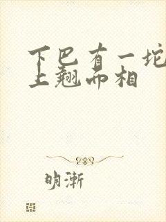 下巴有一坨肉往上翘面相