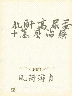 肌酐高尿蛋白2+怎么治疗