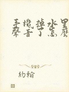 手机掉水里了没声音了怎么办