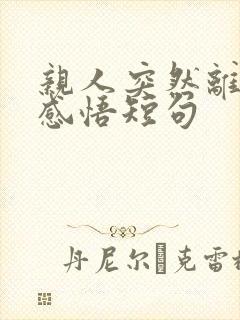 亲人突然离世的感悟短句