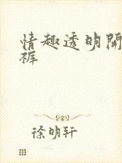 情趣透明开裆内裤