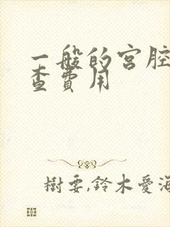 一般的宫腔镜检查费用