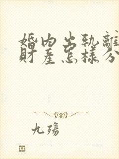 婚内出轨离婚后财产怎样分割