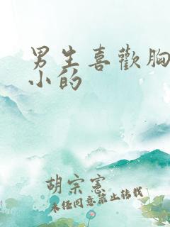 男生喜欢胸大的小的