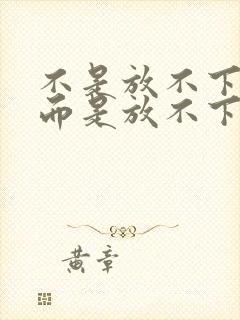 不是放不下你 而是放不下那段感情