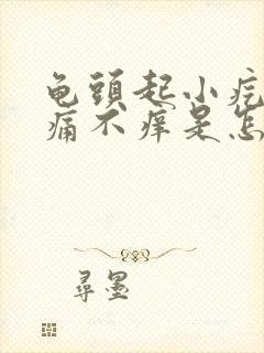 龟头起小疙瘩不痛不痒是怎么回事