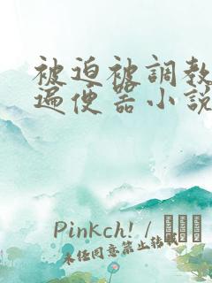 被迫被调教成肉遍便器小说