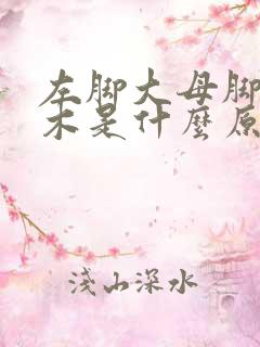 左脚大母脚趾麻木是什么原因