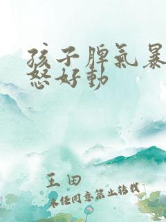 孩子脾气暴躁易怒好动