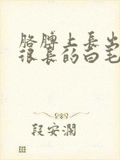 胳膊上长出一根很长的白毛