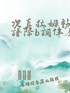 次真拉姆动态简谱降b调伴奏