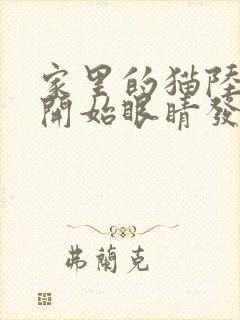 家里的猫陆续都开始眼睛发炎流脓