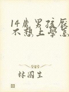 14岁男孩厌学不想上学怎么办