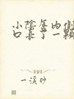 小阴唇内侧阴道口长了一颗小肉芽