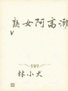 熟女阿高潮合集v