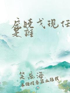 庞晓戈现任丈夫是谁