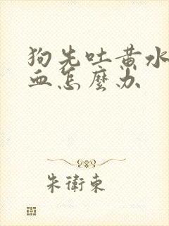 狗先吐黄水后吐血怎么办