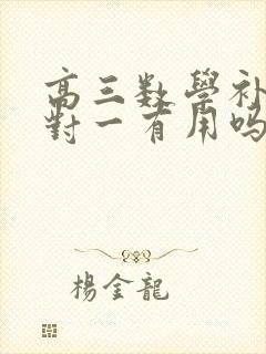 高三数学补课一对一有用吗