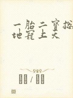 一胎二宝总裁爹地宠上天