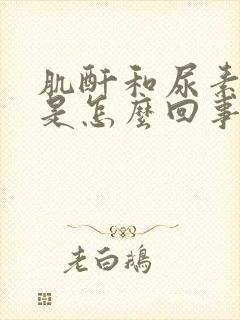 肌酐和尿素都低是怎么回事