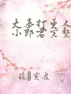 大奉打更人卖报小郎君完整精校版