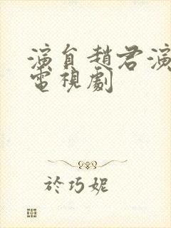 演员赵君演过的电视剧