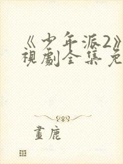 《少年派2》电视剧全集免费