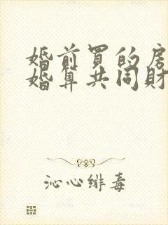 婚前买的房子二婚算共同财产吗