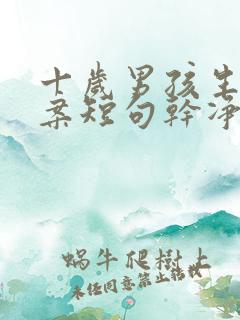 十岁男孩生日文案短句干净