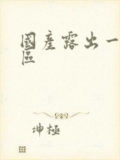 国产露出一区二区