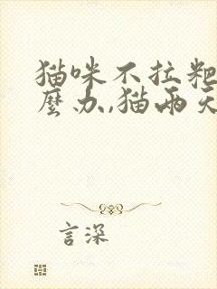 猫咪不拉粑粑怎么办,猫两天没大便正常吗