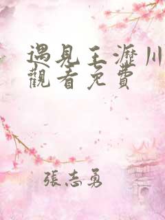 遇见王沥川全集观看免费