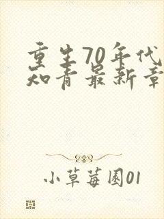 重生70年代当知青最新章节