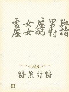 处女座男与摩羯座女配对指数