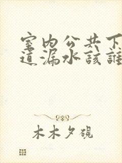 室内公共下水管道漏水该谁修